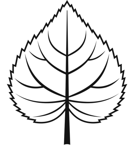 More information about "Linden leaf"