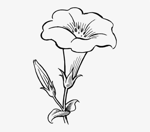 More information about "Flower outline free embroidery design"