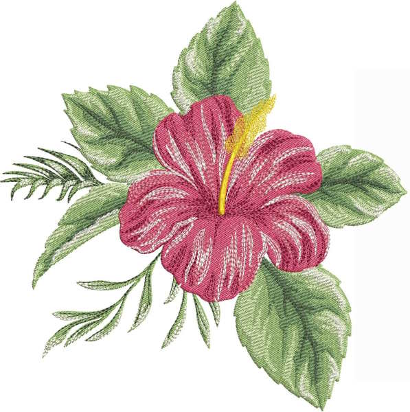Hibiscus free embroidery design