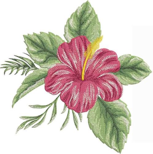 More information about "Hibiscus free embroidery design"