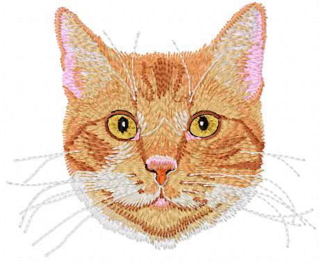 Unleash Playful Charm of Red-Haired Cat Muzzle Embroidery Design