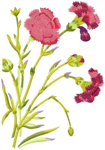 More information about "Carnations free embroidery design"