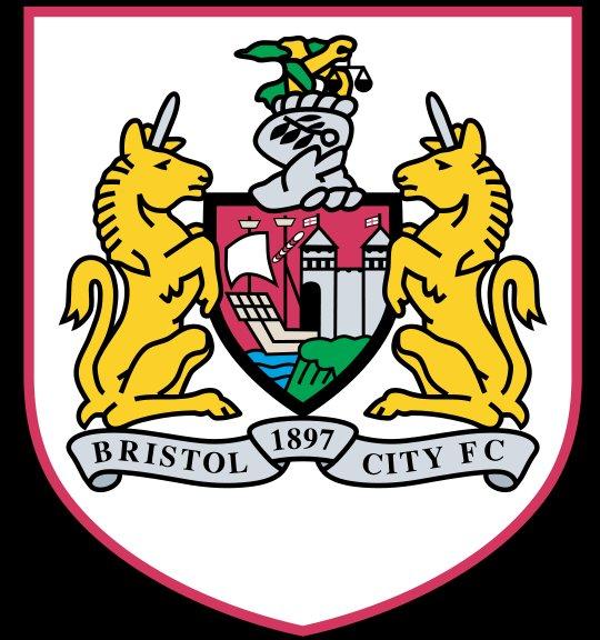 Bristol city fc logo embroidery design