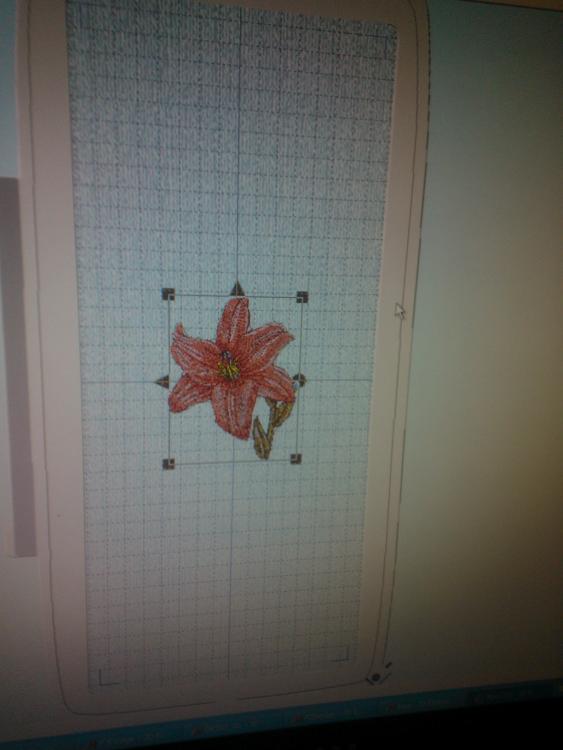 in software screen Swirl lily embroidery design