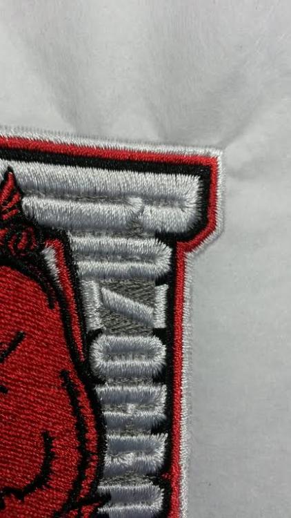 Parts of embroidered logo