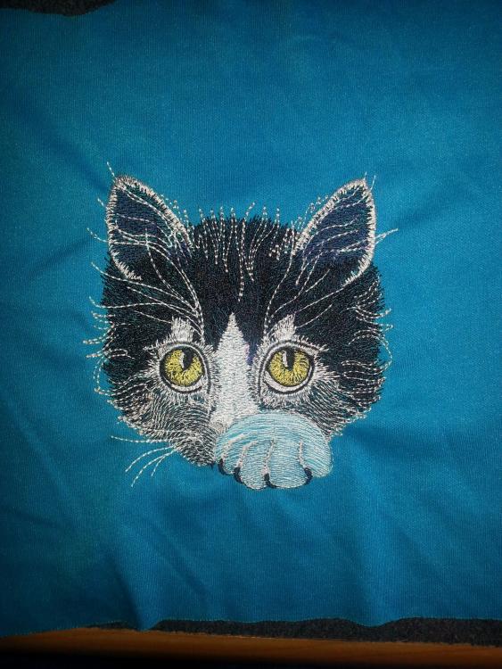 post-9387-0-95246600-1403818104_thumb.jp