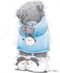 Teddy bear cold time