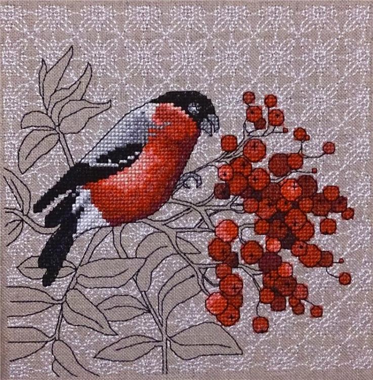 Bullfinch Cross Stitch Free Embroidery Design - Cross Stitch - Machine 