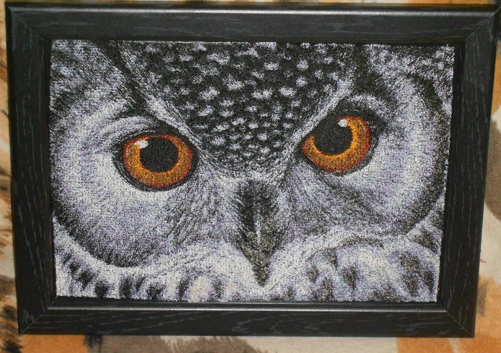 Owl photo stitch free embroidery design