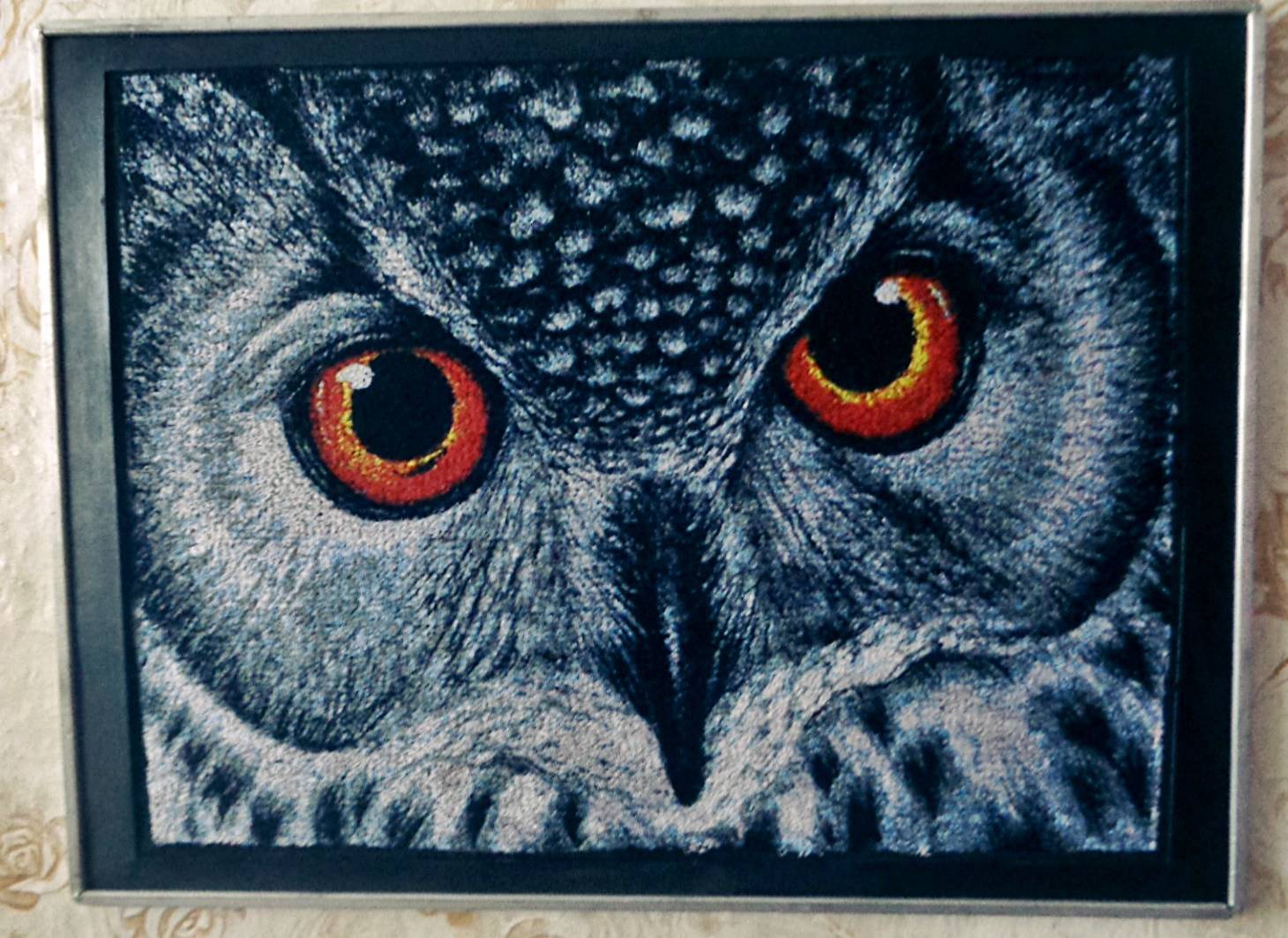  Owl  photo stitch free embroidery  design  Photo stitch 