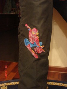 Pants with Spiderman embroidery design