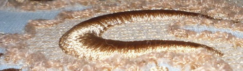 cording-first attempt-25.jpg