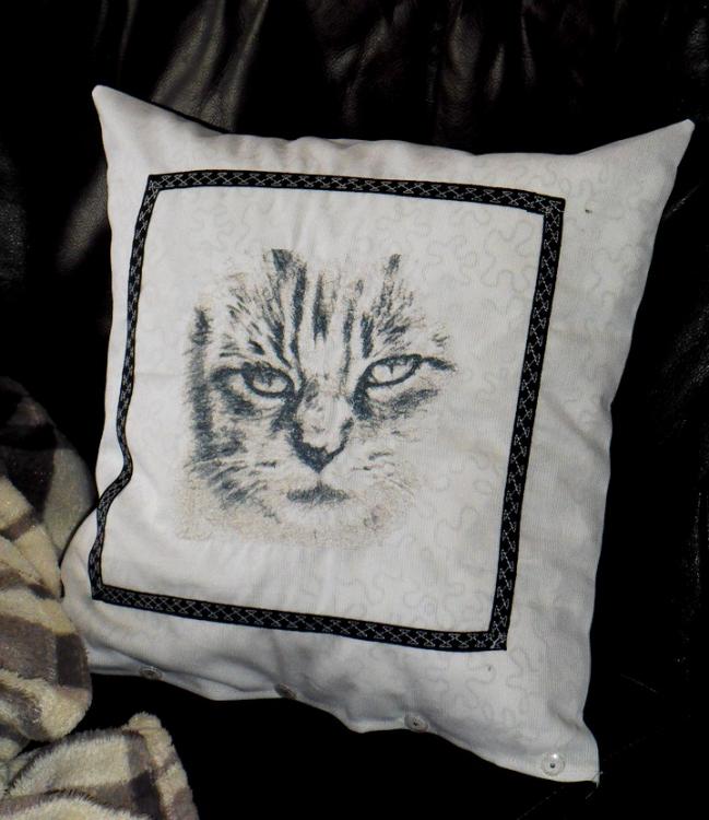 Cushion with grey cat free embroidery design