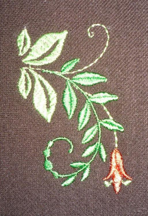 contrasting-colors-03.thumb.jpg.8e5055c8