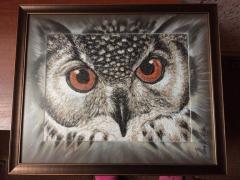 Owl photo stitch free embroidery