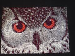 Owl photo stitch free embroidery design