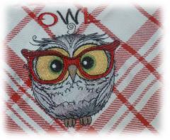 Towel with funny wise owl embroidery design