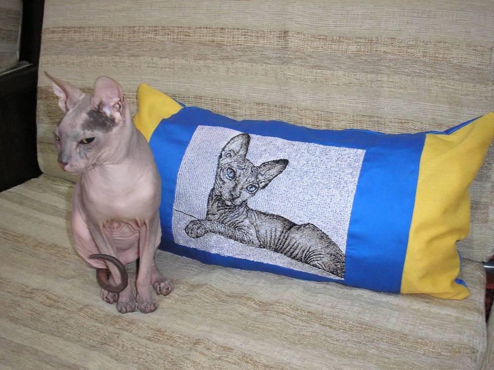 Pillow with Sphynx cat stitch free embroidery design
