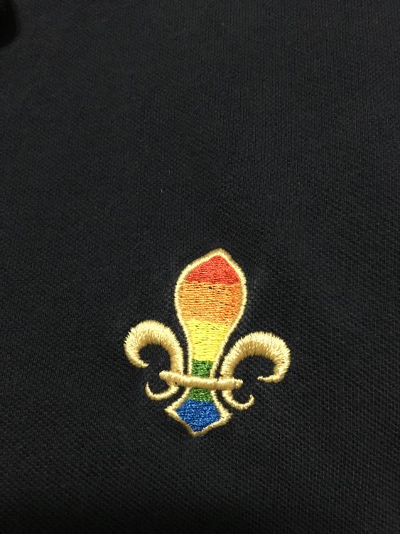fleur di lis rainbow second design.jpg