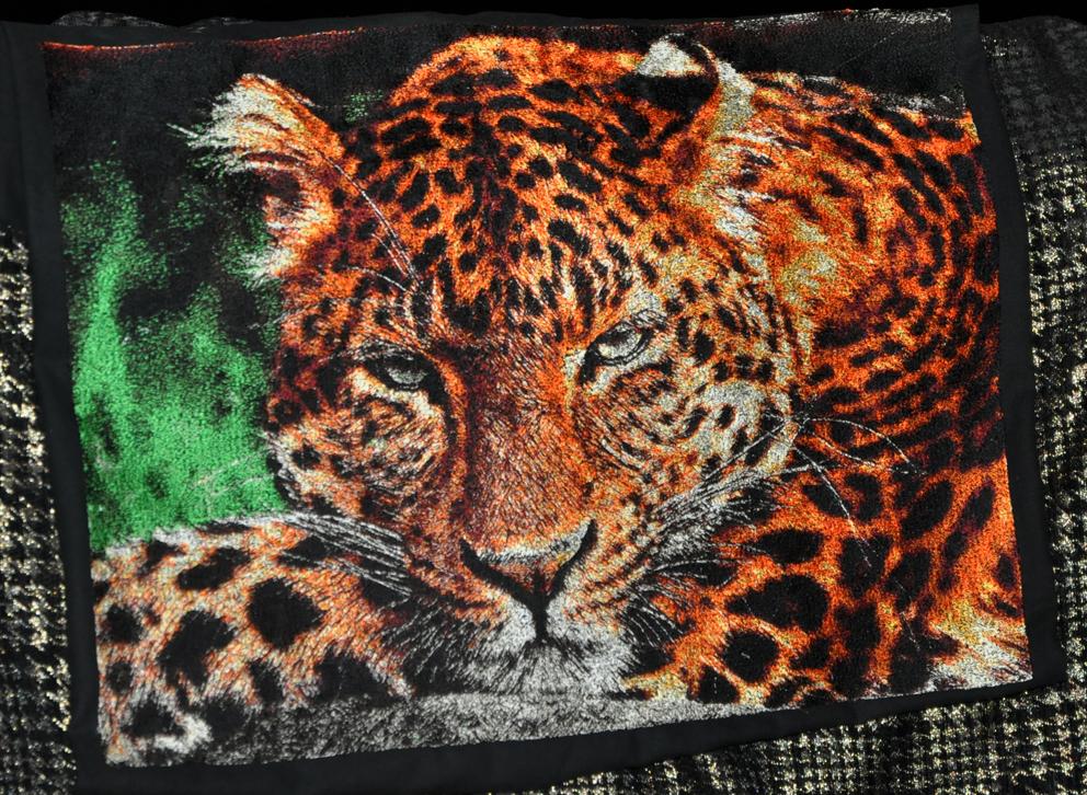 Leo photo stitch free embroidery design