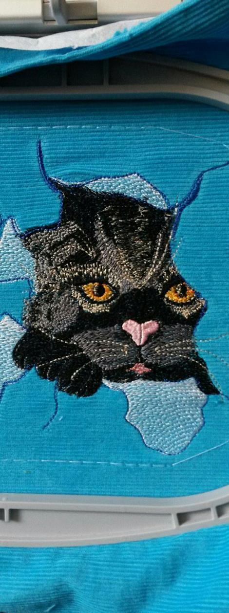 Angry cat free embroidery design