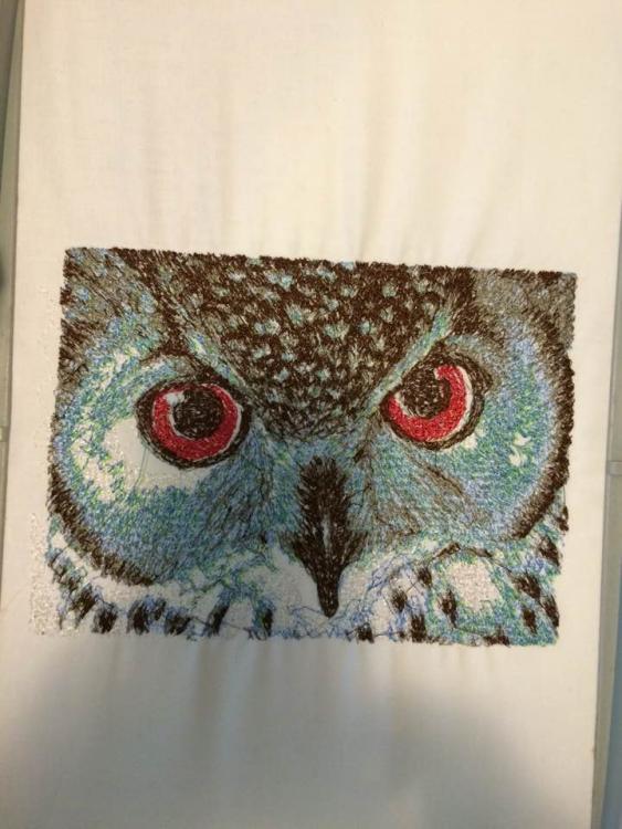 owl embroidered dsign