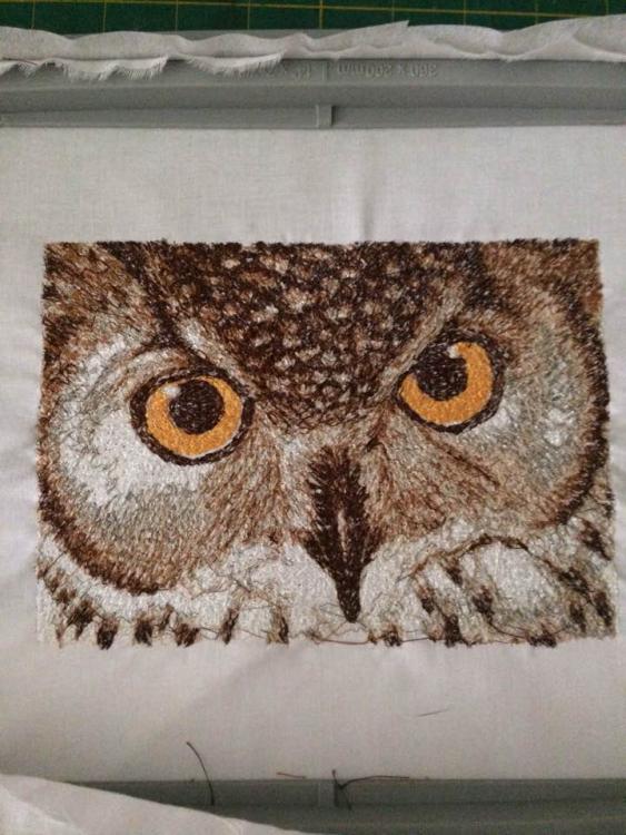 Owl free embroidery design