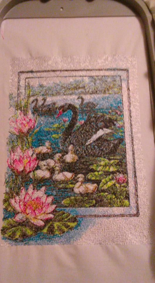 Black swans photo stitch free embroidery design