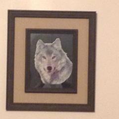 Framed wolf free embroidery design