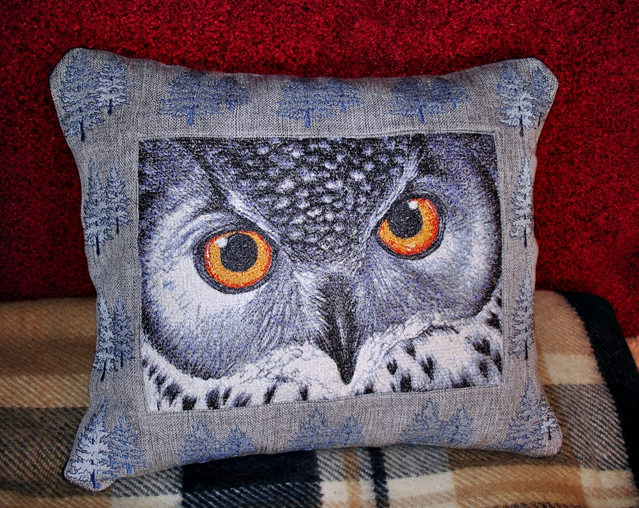 Cushion owl eyes photo stitch free embroidery