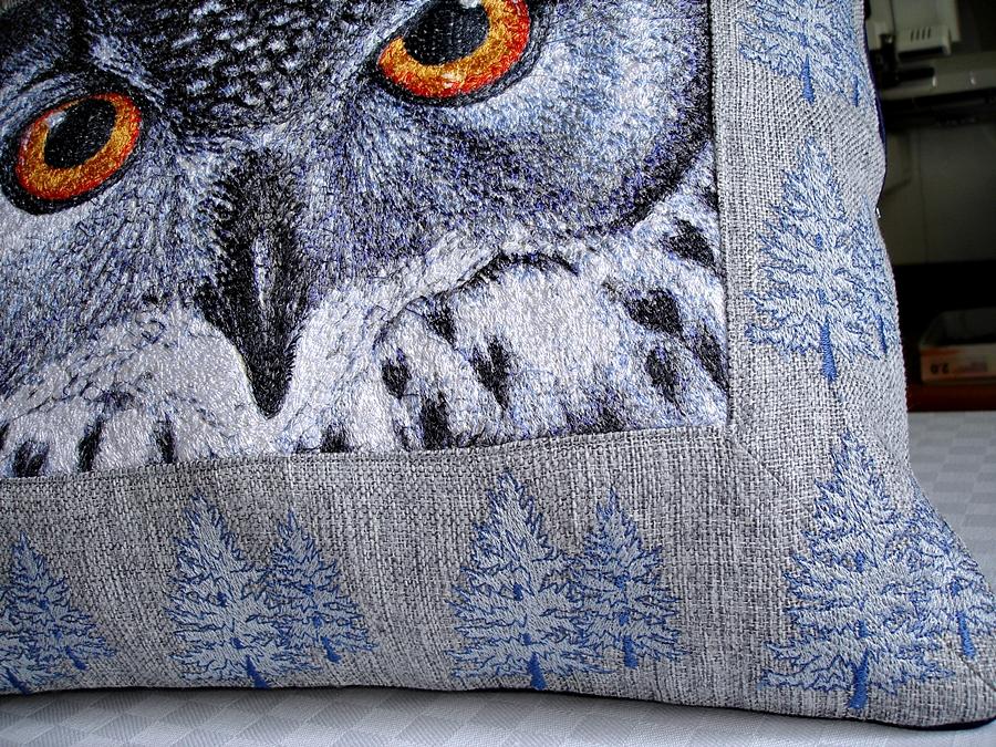 Owl eyes embroidered cushion