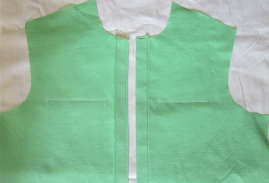 cat-in-pocket-06.jpg