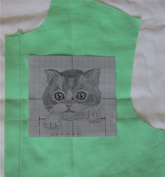 cat-in-pocket-07.jpg