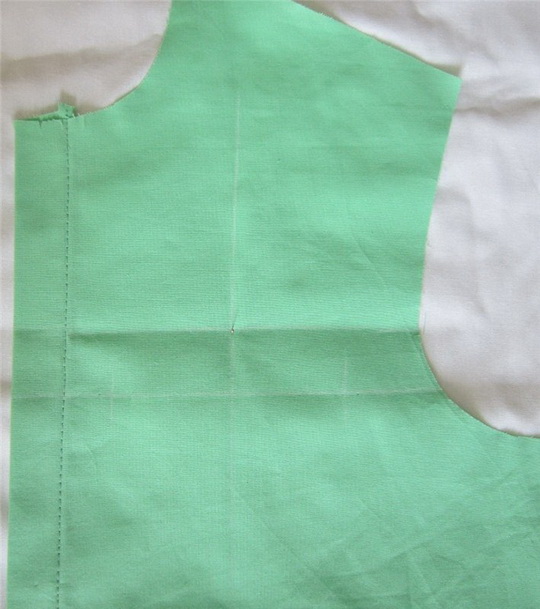 cat-in-pocket-08.jpg