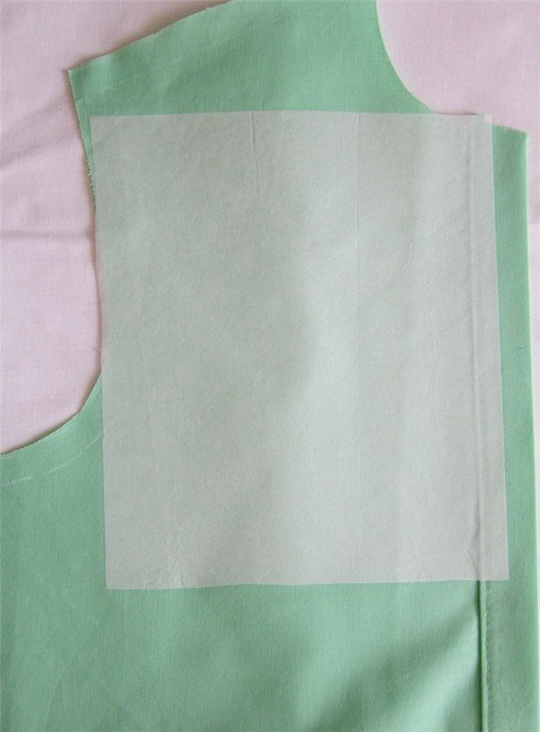 cat-in-pocket-09.jpg