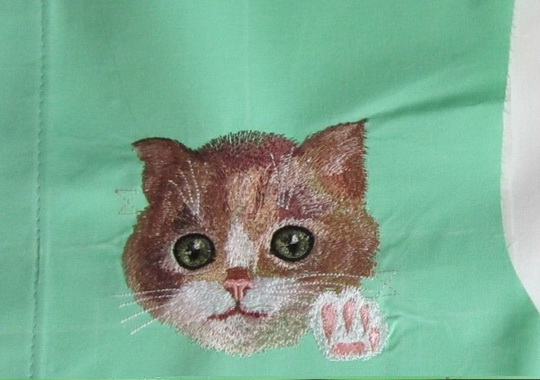 cat-in-pocket-12.jpg