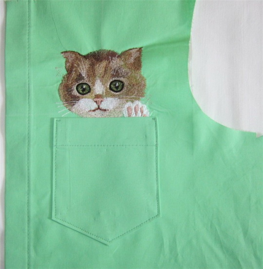 cat-in-pocket-13.jpg