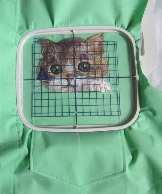cat-in-pocket-15.jpg