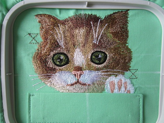 cat-in-pocket-16.jpg