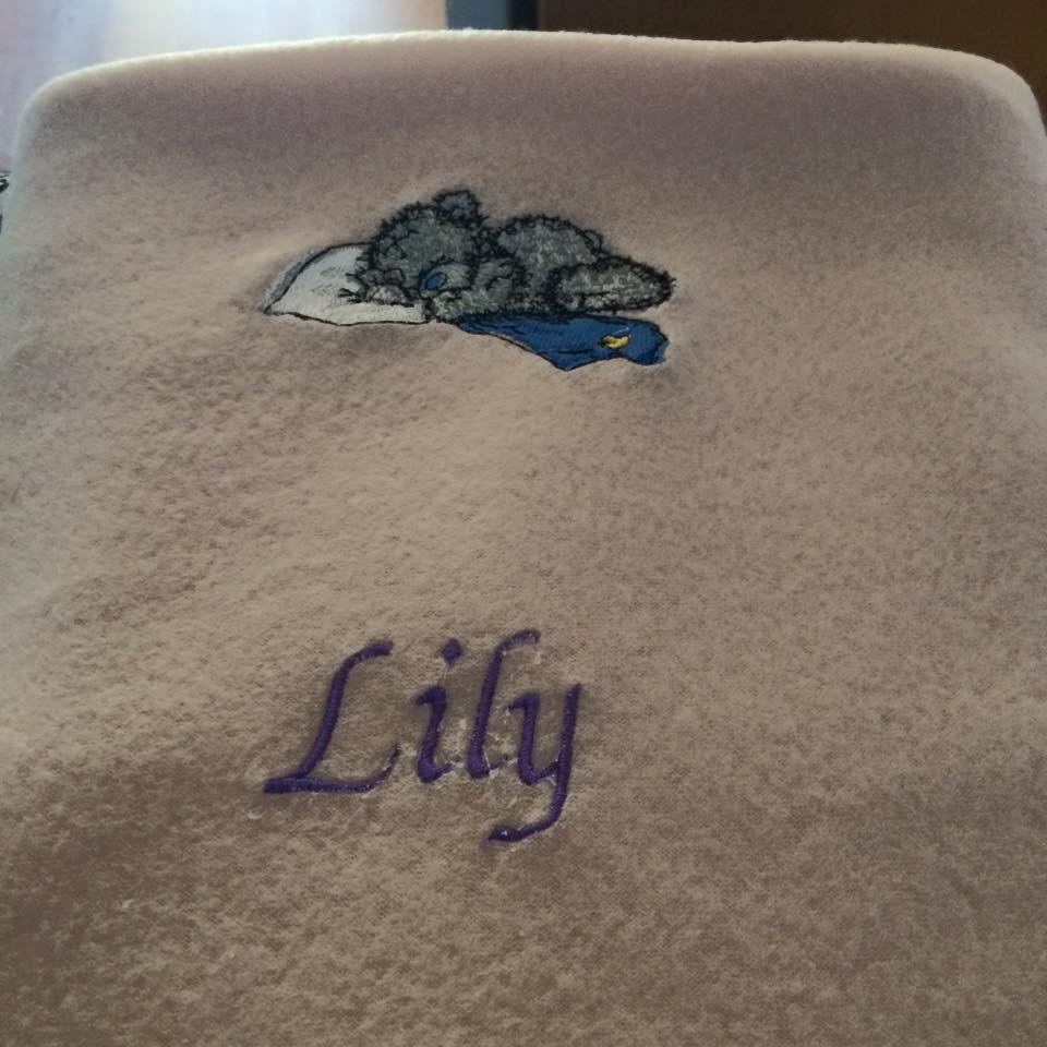 Fleece baby napkin with Teddy bear sleeping embroidery design