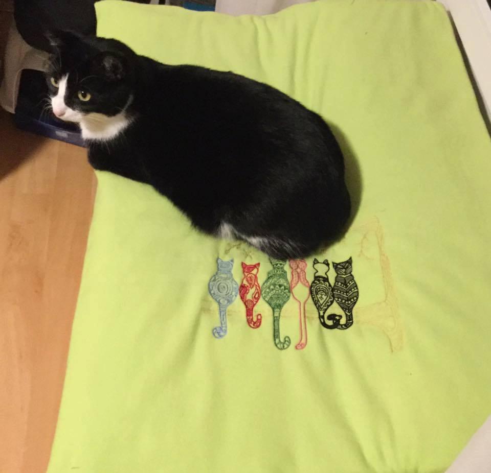 Blanket with rainbow cats free embroidery design