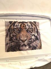 Tiger photo stitch free embroidery in hoop