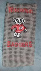 Bucky the Badger machine embroidery design