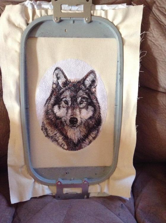 Wolf in hoop photo stitch free embroidery design