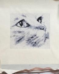 Cat photo stitch free embroidery