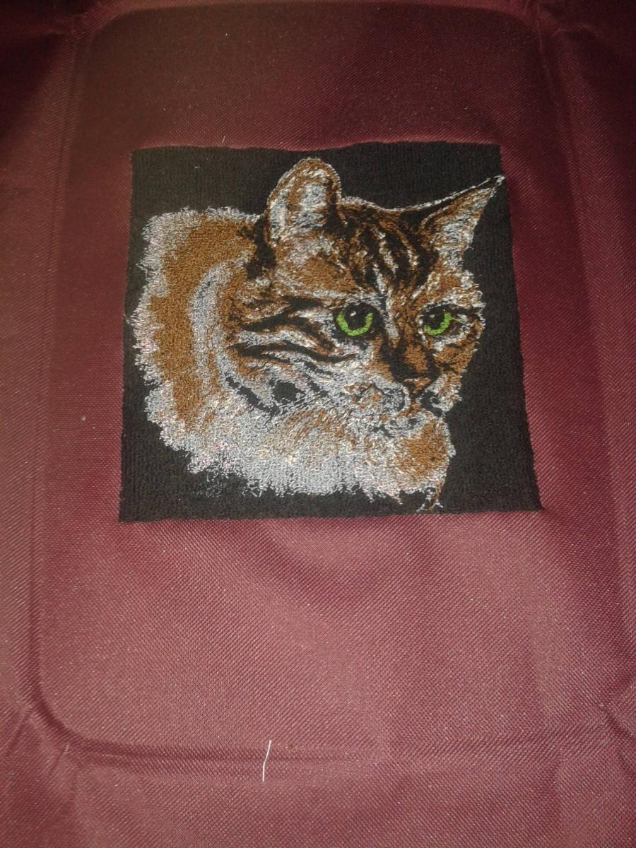 Cat photo stitch free embroidery design
