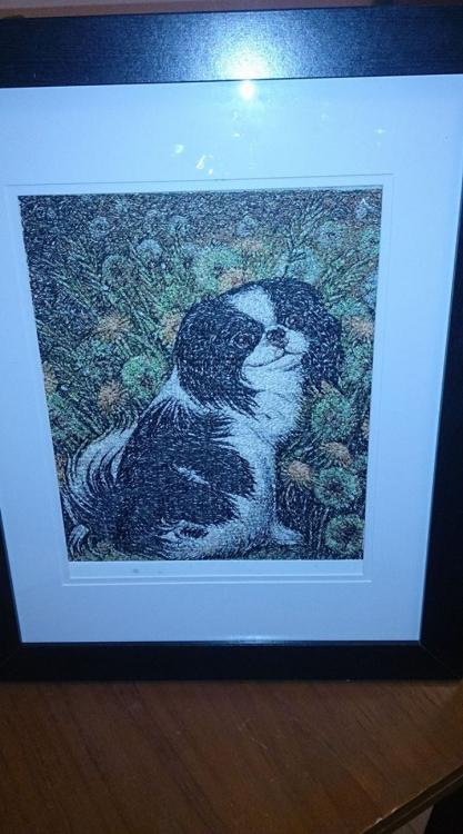 Dog photo stitch free embroidery design