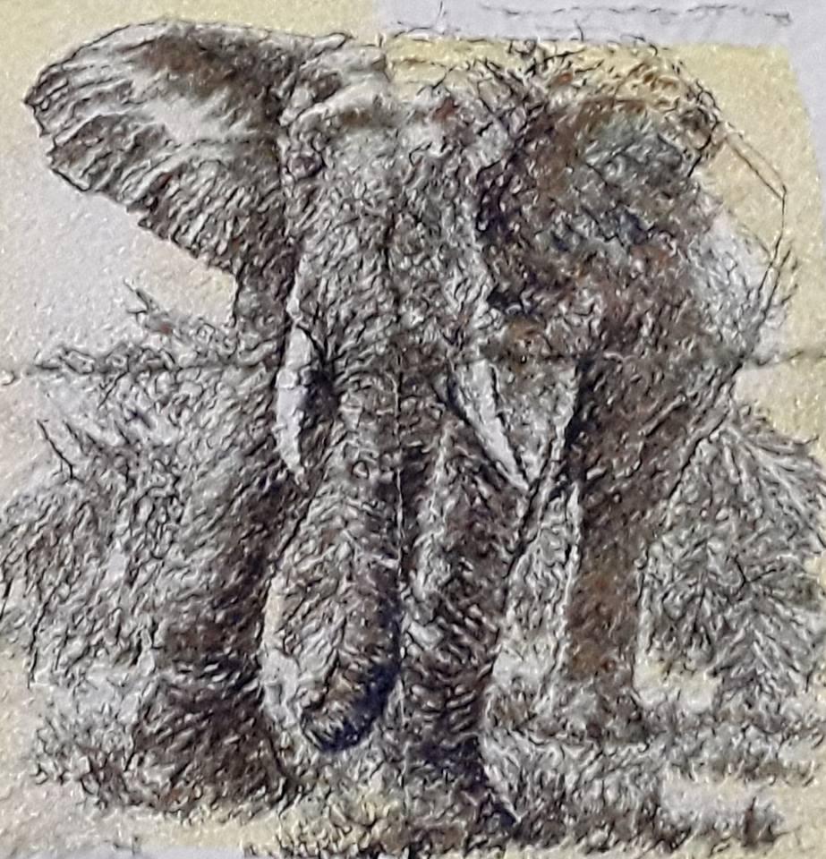 Elephant photo stitch free embroidery design