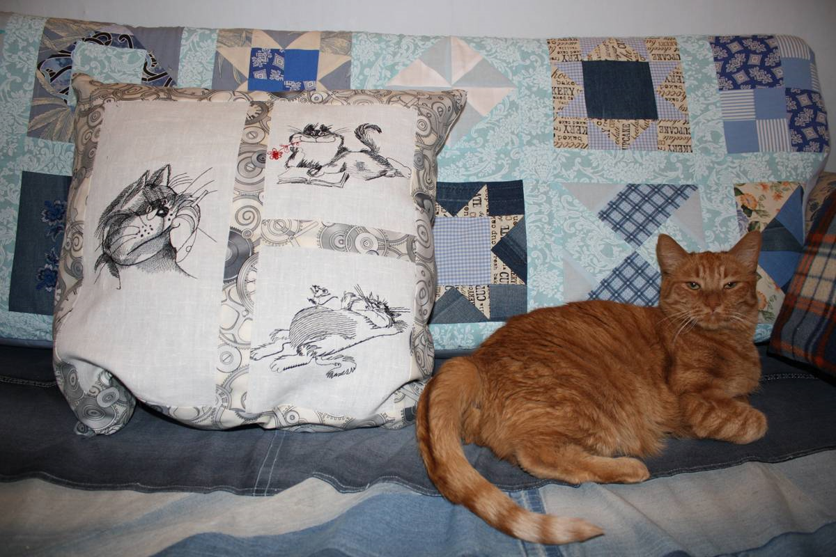 Pillow with Cats free machine embroidery designs