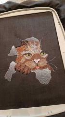 In hoop Angry cat free embroidery design